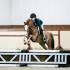Jaeckle Centre Hosts Sold Out Snowflake Horse Show